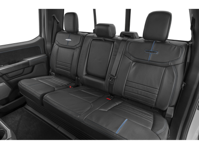 2025 Ford F-150 Platinum 703A