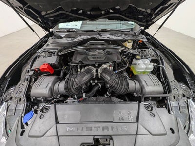 2024 Ford Mustang Dark Horse