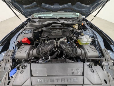 2024 Ford Mustang Dark Horse