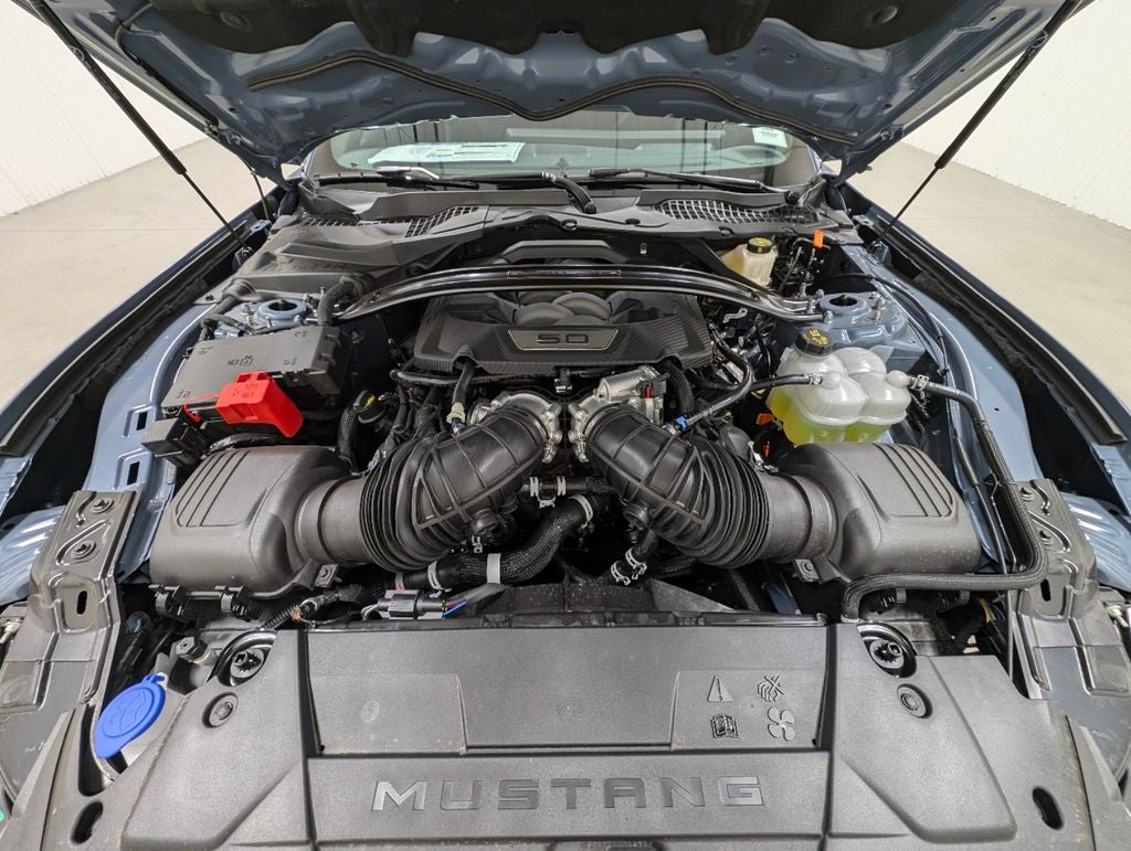 2024 Ford Mustang Dark Horse