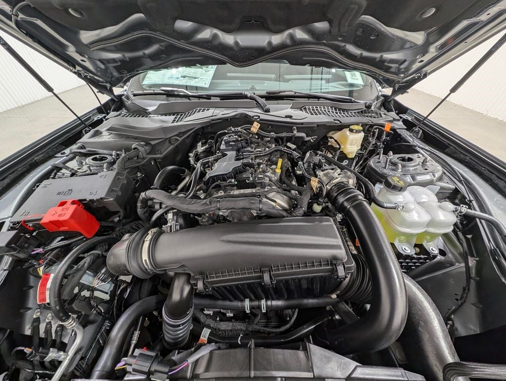 2025 Ford Mustang EcoBoost