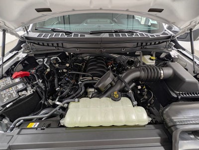 2026 Ford F-150 STX Lobo