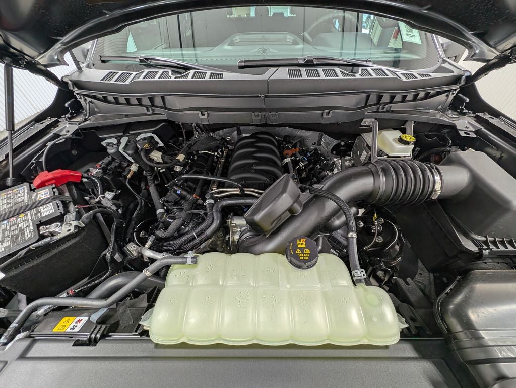 2026 Ford F-150 STX Lobo