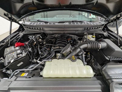 2026 Ford F-150 STX Lobo