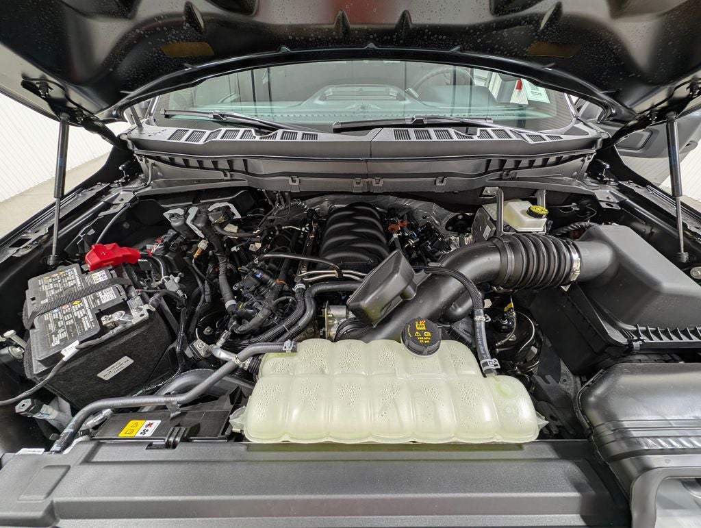 2026 Ford F-150 STX Lobo