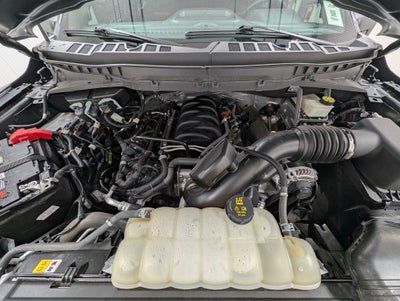 2024 Ford F-150 Tremor